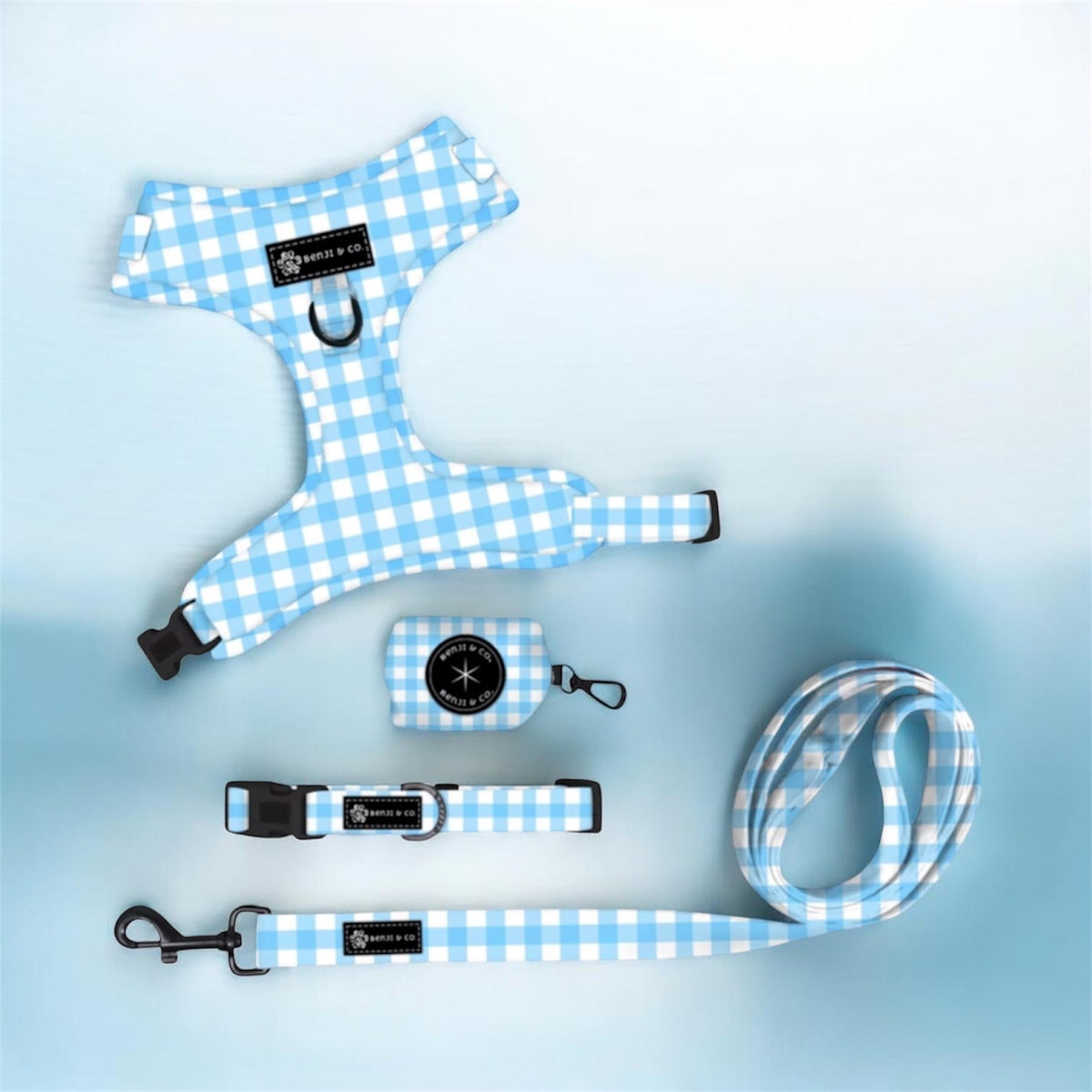 Blue Gingham- Complete Walking Set