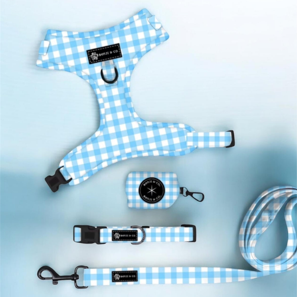 Blue Gingham- Complete Walking Set