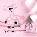 Pink Gingham- Complete Walking Set