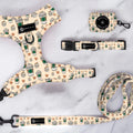 Puppuccino- Complete Walking Set