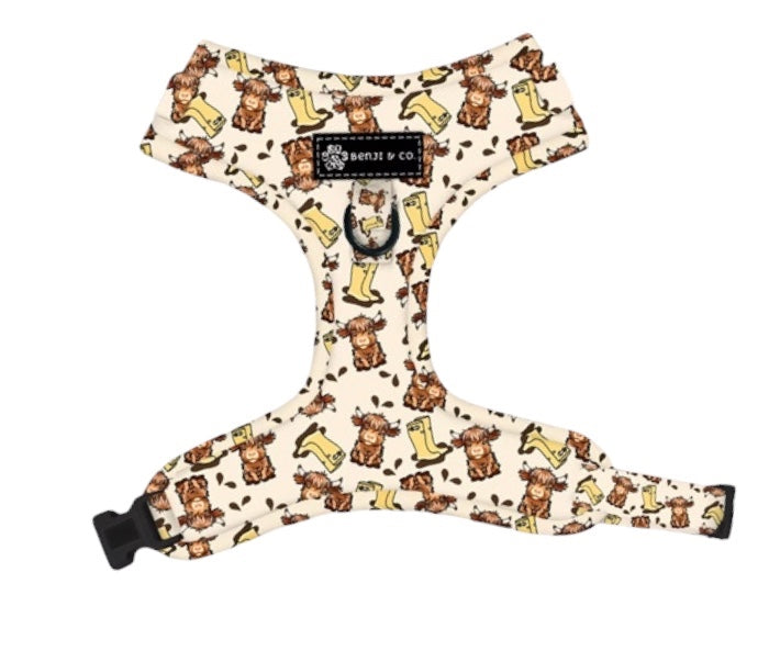 Boots & Highlands - Harness