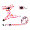 Daisy Dream Walking Set